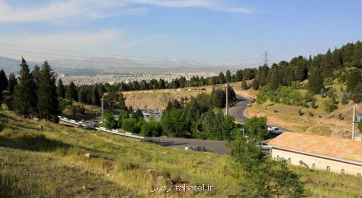 اقدامات شبانه روزی برای روبرو شدن با آفات جنگلی سرخه حصار