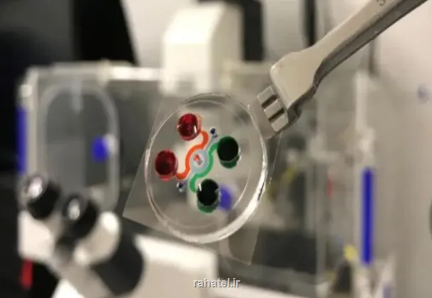 فراخوان معاونت علمی برای دفاع از شرکت های پیشرو در میکروالکترونیک