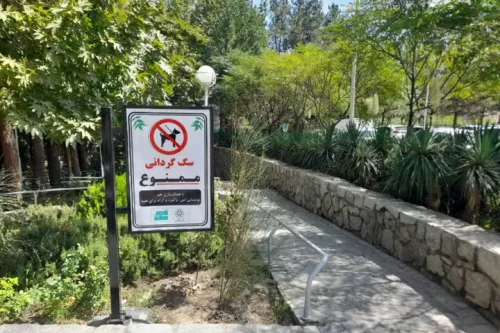 سگ گردانی سبک زندگی جدید یا پاسخی به تنهایی و انزوای شهری؟